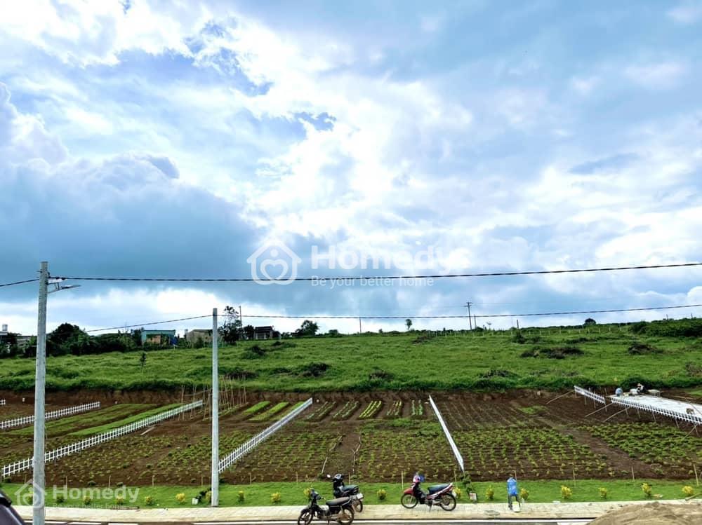 Ảnh thực tế dự án Sunrise Village