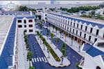 Dự án Cité D’Amour Dĩ An - ảnh tổng quan - 11