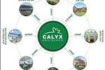 Dự án Calyx Residence - ảnh tổng quan - 6