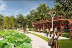 Dự án Khu đô thị Centa City Vsip Từ Sơn (Centa Riverside) - ảnh tổng quan - 8