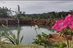 Dự án Đambri Village Bảo Lộc - ảnh tổng quan - 20
