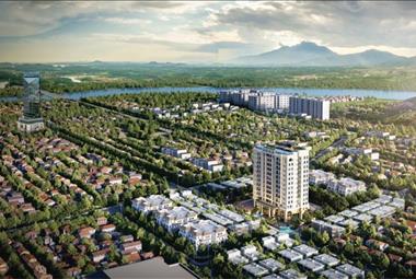 Dự án The First Minh Linh Compound - ảnh giới thiệu