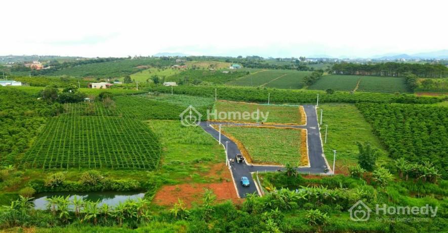 Hình ảnh thực tế Đất nền Đambri Village Bảo Lộc
