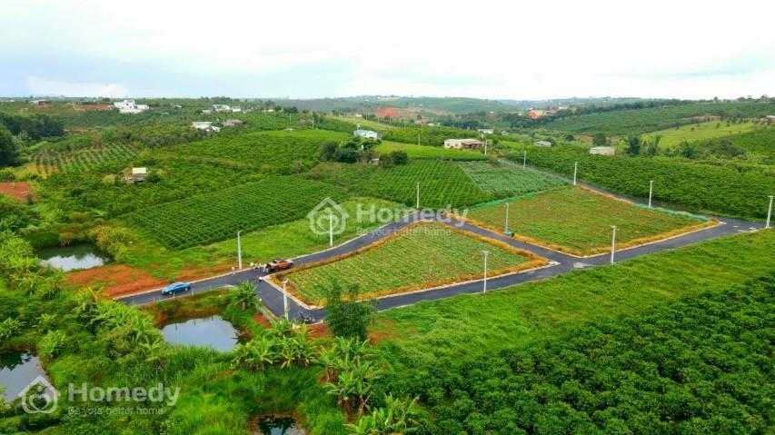 Hình ảnh thực tế Đất nền Đambri Village Bảo Lộc