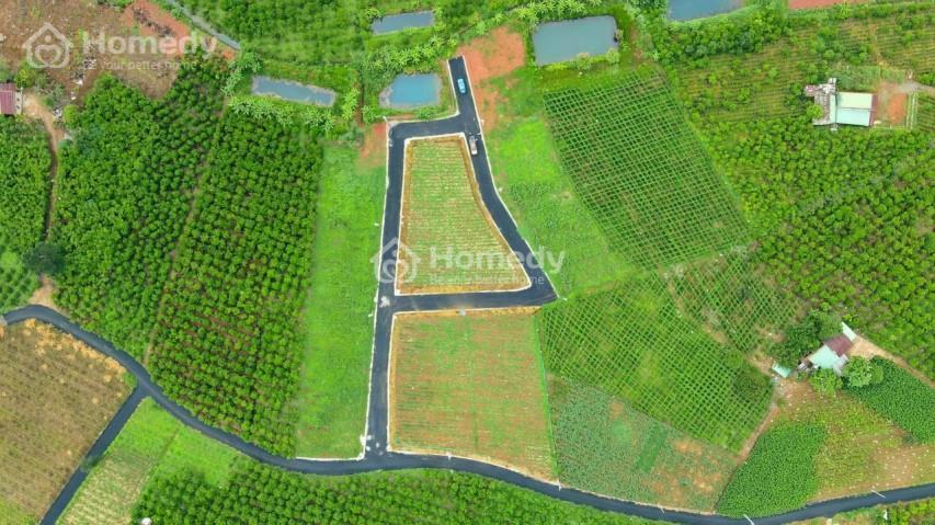 Hình ảnh thực tế Đất nền Đambri Village Bảo Lộc