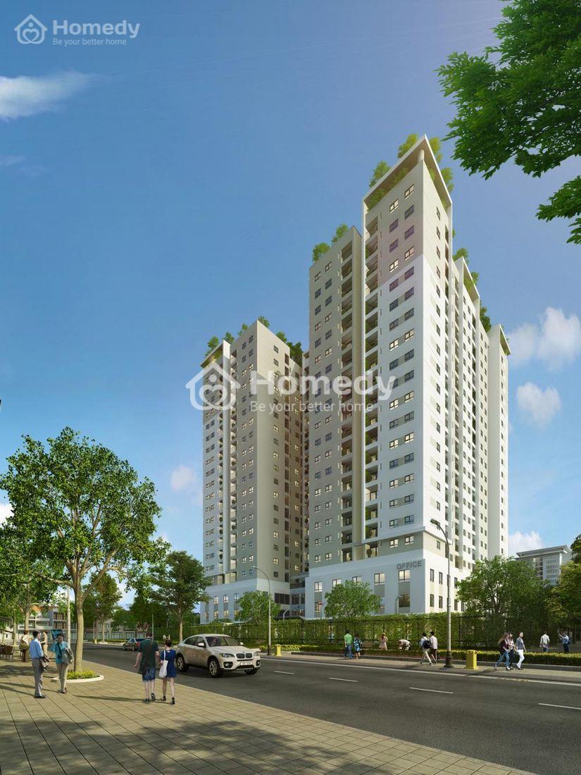 Ảnh giới thiệu dự án Momota