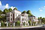 ảnh giới thiệu 5