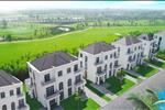  Dự án Imperia Grand Plaza - ảnh tổng quan - 3