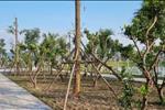 Dự án Amdi Green City - ảnh tổng quan - 15