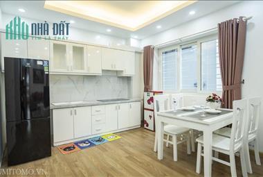 Căn hộ dịch vụ Sumitomo Đào Tấn - ảnh giới thiệu