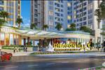 ảnh 6