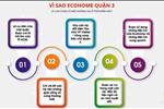 Dự án Ecohome Quận 3 - ảnh tổng quan - 11