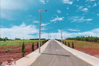 Dự án Golden Joy - ảnh giới thiệu