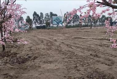 Dự án  Green Park Kim Đính - ảnh giới thiệu