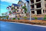 Dự án An Đông Villas - ảnh tổng quan - 7