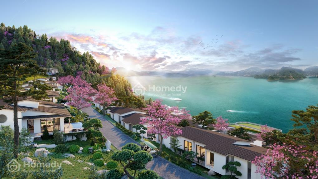 Phối cảnh dự án Takara Hòa Bình Resort