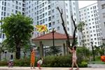 Dự án Nhà ở xã hội EcoHome 1 - ảnh tổng quan - 7