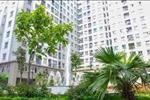 Dự án Nhà ở xã hội EcoHome 1 - ảnh tổng quan - 4