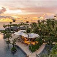 Flamingo Hải Tiến