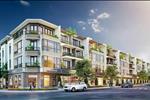 Dự án Iris Residence - KDC Compound Cần Giuộc Long An - ảnh tổng quan - 1