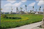 Dự án Khu dân cư Minh Châu (Vạn Phát Avenue) - ảnh tổng quan - 11