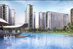 Dự án The Win City Đức Hòa - ảnh tổng quan - 6