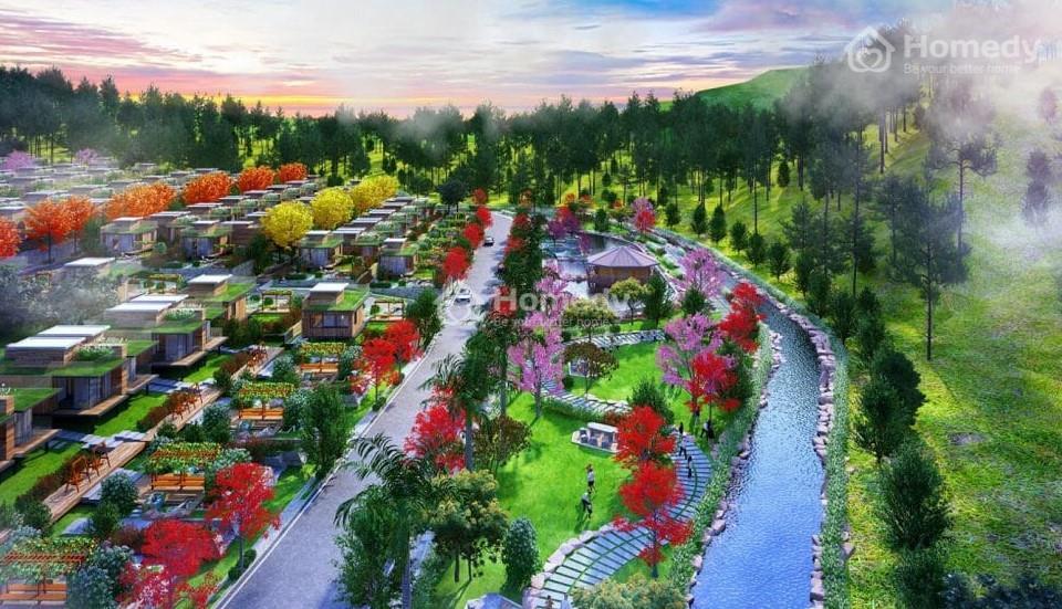 Đồi Mơ Sky View 