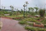 Dự án Yên Bái Riverside - ảnh tổng quan - 4