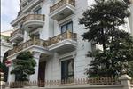Dự án Khu biệt thự D5 Vườn Đào Hà Nội - ảnh tổng quan - 3