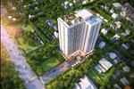 Splus River View - ảnh tổng quan - 1