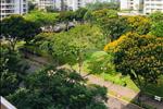 Dự án Park View- Thông tin, giá bán mới nhất - ảnh tổng quan - 2