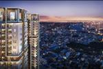 Dự án The Maison - Thông tin, giá bán mới nhất - ảnh tổng quan - 2