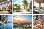 Dự án Fresia Riverside - Thông tin giá bán mới nhất - ảnh tổng quan - 3