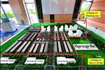 SpringVille Gamuda Nhơn Trạch - Thông tin giá bán mới nhất - ảnh tổng quan - 8